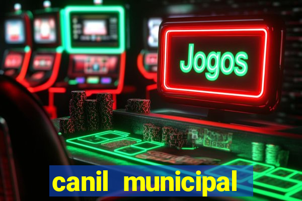 canil municipal porto alegre